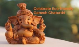 Stop pollution and celebrate Eco-friendly Ganesh Chaturthi