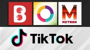 You are currently viewing Best Replacement App of TikTok in India