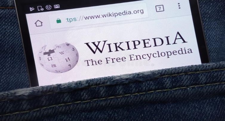 Read more about the article Wikipedia needs your Help